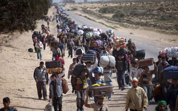 migrantes