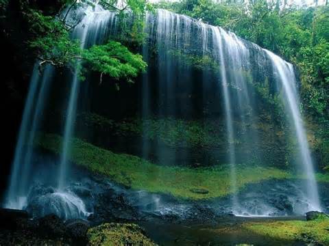 conservacao natureza