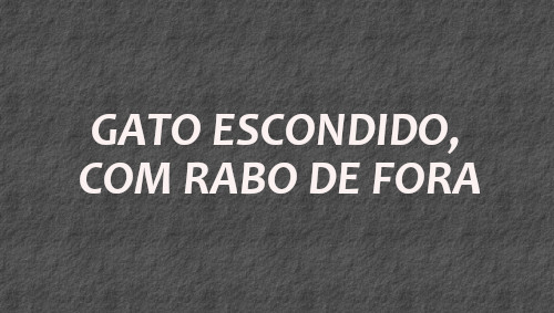 gato